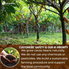 Cacao Powder, 25oz (1.56 lbs), 100% Natural & Pure, Unsweetened, Rich Chocolate Flavor, Perfect for Baking & Smoothies