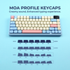 XVX Rainbow Candy MOA Profile Dye-Sub 143-Key PBT Keycap Set