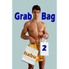Grab Bag 2: An Unthemed Gay Erotica Anthology - Paperback
