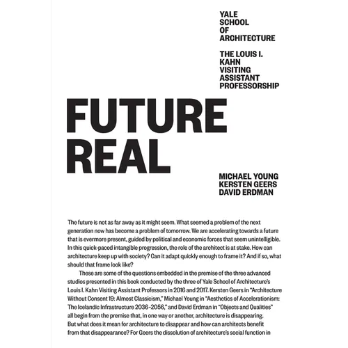 Future Real: Michael Young, Kersten Geers, David Erdman - Paperback