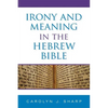 Irony and Meaning in the Hebrew Bible - Hardcover