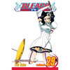 Bleach, Vol. 29: The Slashing Opera - Paperback