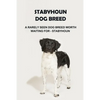Stabyhoun Dog Breed: A Rarely Seen Dog Breed Worth Waiting for - Stabyhoun: Stabyhoun Dog Breed Information, Photos, Traits and Facts - Paperback