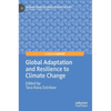 Global Adaptation and Resilience to Climate Change - Hardcover