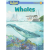 Whales - Paperback