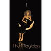 Mystical Black African American Magic Tarot Card Diary, Journal, and/or Notebook: Perfect for Fans of Astrology, Dark Magic, Fantasy, Occult, Wicca, a - Hardcover