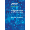 Phenomenology and Mathematics - Paperback