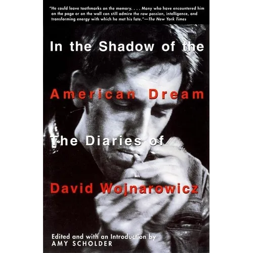 In the Shadow of the American Dream: The Diaries of David Wojnarowicz - Paperback