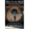 How To Go Blind and Not Lose Your Mind: Physical and Emotional Challenges of Sight Loss - Paperback