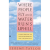 Where People Fly and Water Runs Uphill: Using Dreams to Tap the Wisdom of the Unconscious - Paperback