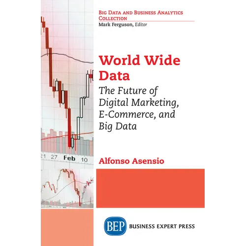 World Wide Data: The Future of Digital Marketing, E-Commerce, and Big Data - Paperback
