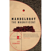 Mandelbrot the Magnificent: A Novella - Paperback