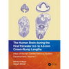 The Human Brain During the First Trimester 3.5- To 4.5-MM Crown-Rump Lengths: Atlas of Human Central Nervous System Development, Volume 1 - Paperback