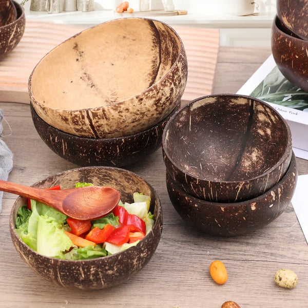 Natural Coconut Bowl Dinner Set