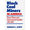 Black Coal Miners in America: Race, Class, and Community Conflict, 1780-1980 - Paperback