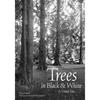 Trees in Black & White: A Visual Tour - Paperback