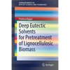 Deep Eutectic Solvents for Pretreatment of Lignocellulosic Biomass - Paperback