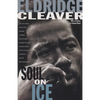 Soul on Ice - Paperback