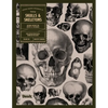 Skulls and Skeletons: An Image Archive and Anatomy Reference Book for Artists and Designers: An Image Archive and Drawing Reference Book for Artists a - Paperback