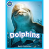 Dolphins! - Paperback
