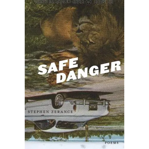 Safe Danger - Paperback