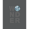 Wonder - Hardcover
