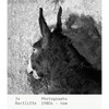 Jo Ractliffe: Photographs 1980s-Now - Hardcover