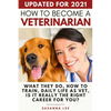 How to Become a Veterinarian: What They Do, How To Train, Daily Life As Vet, Is It Really The Right Career For You? - Paperback