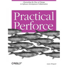 Practical Perforce: Channeling the Flow of Change in Software Development Collaboration - Paperback