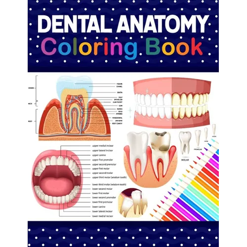 Dental Anatomy Coloring Book: Learn the Basics of Dental Anatomy. Dental Anatomy Coloring Book for Cute Children's, Kids, Boys, Girls, Dental Assistan - Paperback