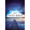 Value Outreach Bible-NIV - Paperback
