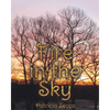 Fire in the Sky - Paperback