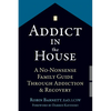Addict in the House: A No-Nonsense Family Guide Through Addiction and Recovery - Paperback
