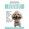 Fetch It!: Teach your Brilliant Family Dog to catch then fetch, retrieve, find, and bring things back - Paperback