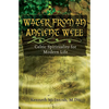 Water from an Ancient Well: Celtic Spirituality for Modern Life - Paperback