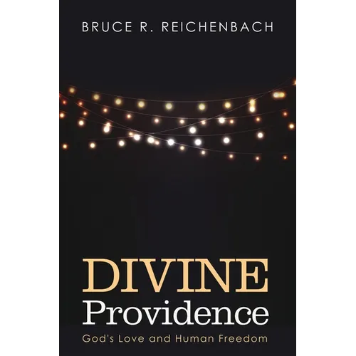 Divine Providence: God's Love and Human Freedom - Paperback