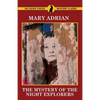The Mystery of the Night Explorers - Paperback