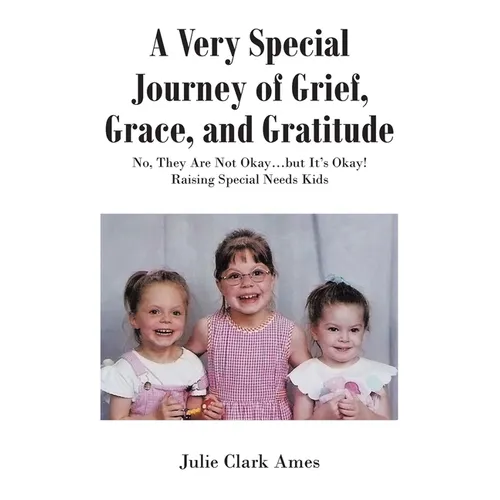 A Very Special Journey of Grief, Grace, and Gratitude: No, They Are Not Okay...but It's Okay! Raising Special Needs Kids - Paperback