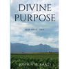 Divine Purpose - Paperback