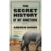 The Secret History of My Hometown - Paperback