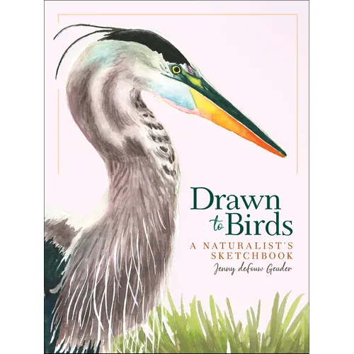Drawn to Birds: A Naturalist's Sketchbook - Hardcover
