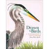 Drawn to Birds: A Naturalist's Sketchbook - Hardcover