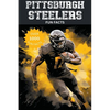 Pittsburgh Steelers Fun Facts - Paperback