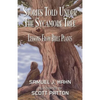 Stories Told Under the Sycamore Tree: Lessons from Bible Plants - Paperback