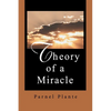 Theory of a Miracle - Paperback