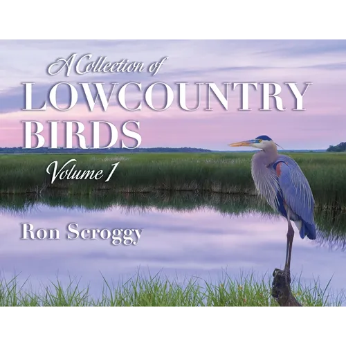 A Collection of Lowcountry Birds - Paperback