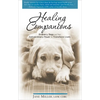 Healing Companions: Ordinary Dogs and Their Extraordinary Power to Transform Lives - Paperback