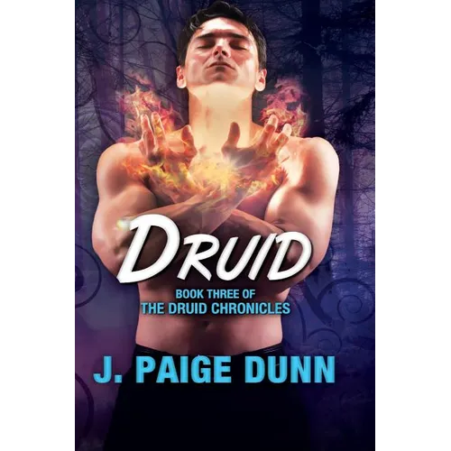 Druid: Book Three of the Druid Chronicles - Paperback