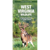 West Virginia Wildlife: A Folding Pocket Guide to Familiar Species - Paperback