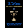 12 Tribes: Israelite Precepts - Paperback